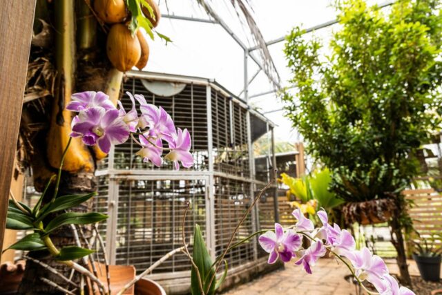 Luxe Exotische Villa met Inpandig Zwembad te Koop in Soto 26-2048x1366