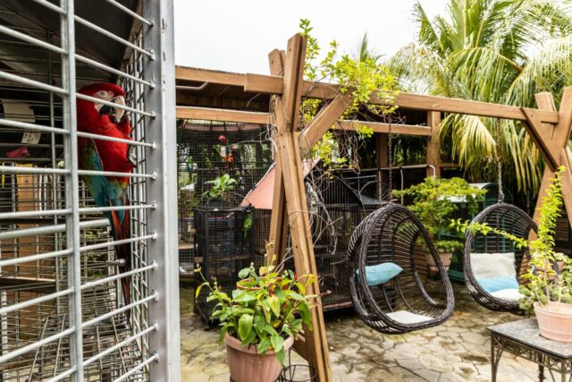 Luxe Exotische Villa met Inpandig Zwembad te Koop in Soto 28-2048x1366