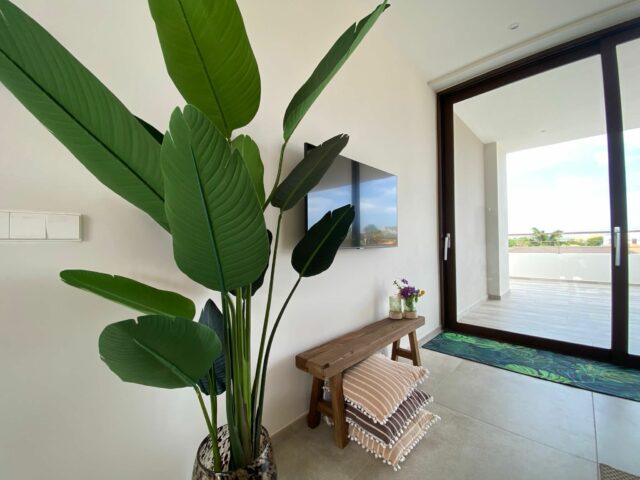 Modern Penthouse in Jan Sofat te Huur00003