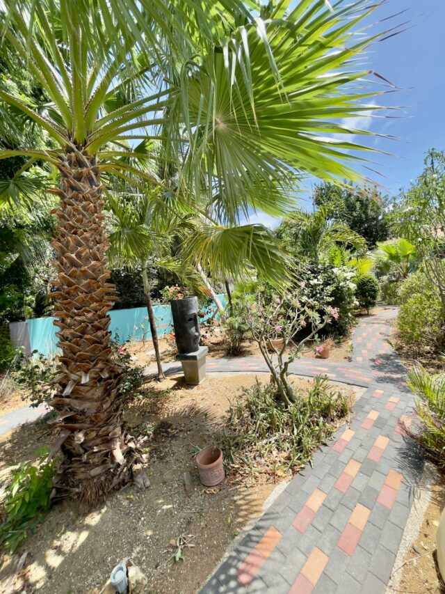 Sfeervolle villa met appartement en zwembad te huur in Bottelier-4