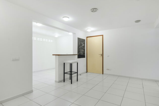 Luxe Villa met Zwembad en Appartement op Vista Royal te Koop IMG_0716