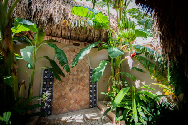 Bungalows Lagun_9788