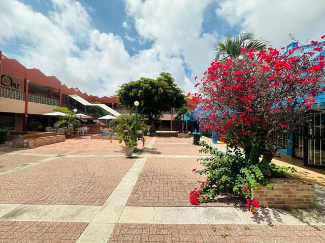 Commerciële unit in Winkelcentrum - Jan Noorduynweg z:n te Groot Piscadera te Koop at 19.34.02 (1)