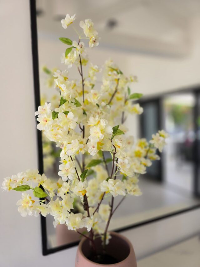 Prachtige Woning om de Hoek van Marie Pompoen Beach Boulevard te Huur (1)