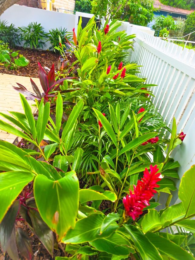 Prachtige Woning om de Hoek van Marie Pompoen Beach Boulevard te Huur (11)