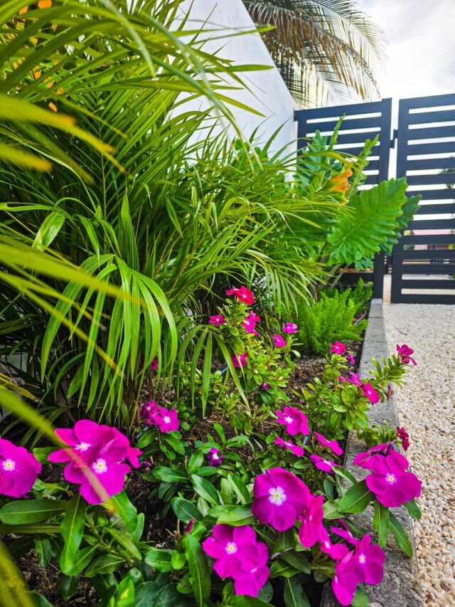 Prachtige Woning om de Hoek van Marie Pompoen Beach Boulevard te Huur (18)