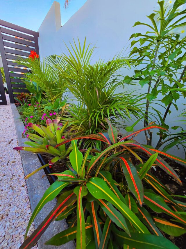 Prachtige Woning om de Hoek van Marie Pompoen Beach Boulevard te Huur (27)