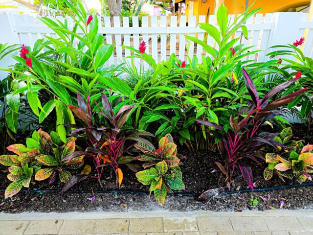 Prachtige Woning om de Hoek van Marie Pompoen Beach Boulevard te Huur (31)