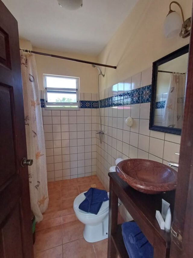 Luxe appartementen Lagun (1)