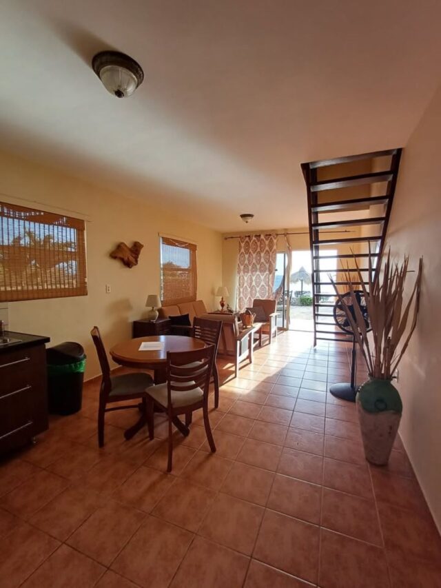 Luxe appartementen Lagun (2)