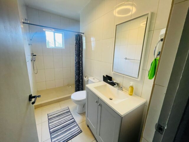 Ruime woning met zwembad (15)