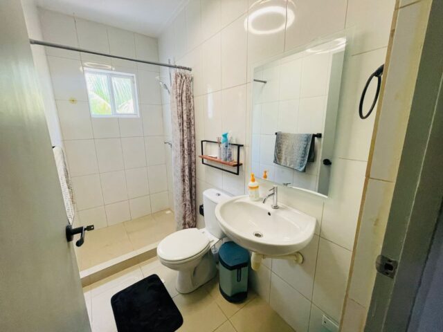 Ruime woning met zwembad (6)