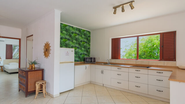 Appartement 1 - keuken