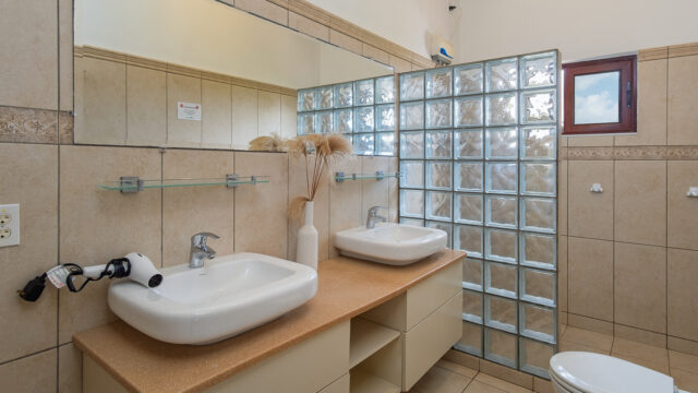 Penthouse 5 - badkamer