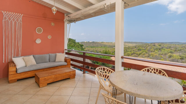 Penthouse 5 - terras