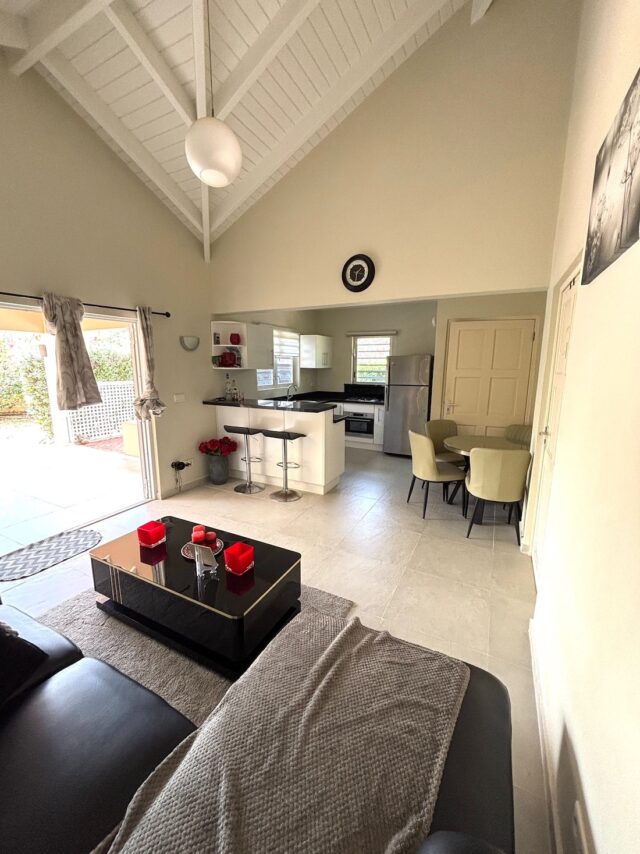 Hanenberg_Kitchen1