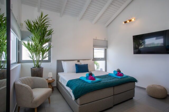 Luxe Villa met Appartement en 2 Zwembaden Vista Royal te Koop00006