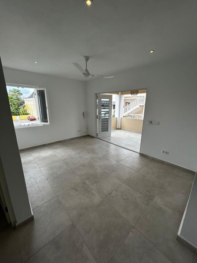 LuxeAppartementteHuurinOtrobanda_Living