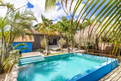 Villa Met Zwembad in Brakkeput te Koop
